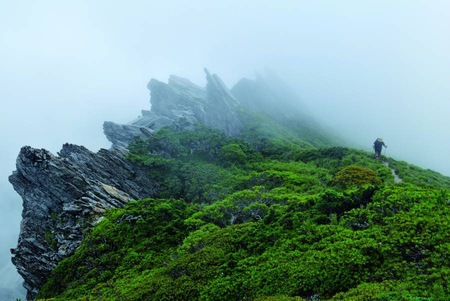 春天的山雖美，但突如其來的霧氣中潛藏危機
